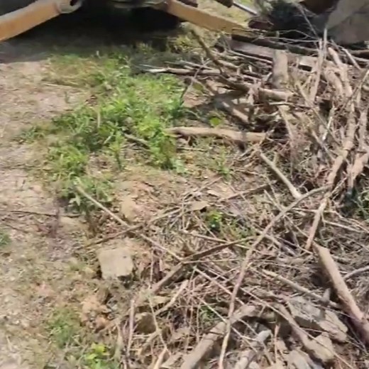 Big lake Beaver dam removal with excavator. | Beaver Dam01