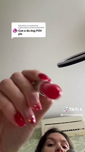 Engaging ASMR Experiences with Dogs