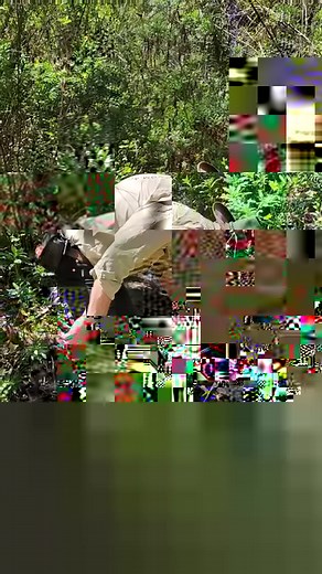 108K views · 3.5K reactions | Will cordage made from a plastic bottle hold? Here is how to make rope using garbage. #outdooracademyaustralia #fyp #survival #bushcraft #knots #bowline #rescue #rope #hiking #craft #outdoor #outdoors #outdoorlife #prepper #thegreatoutdoors #bushwalks #4x4 #australia #woodsman #bushman #bushwalking #how #howto #trucker #truckie #hitch | Outdoor Academy | Facebook