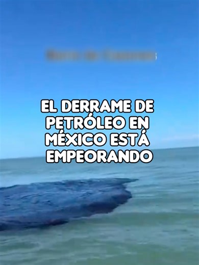 Empeora el derrame de petróleo en México 😰 Así es la situación actual en las costas y como ha afectado a miles de especies y habitantes de la zona #hardnews #México #BreakingNews #golfodemexico #derramedepetroleo