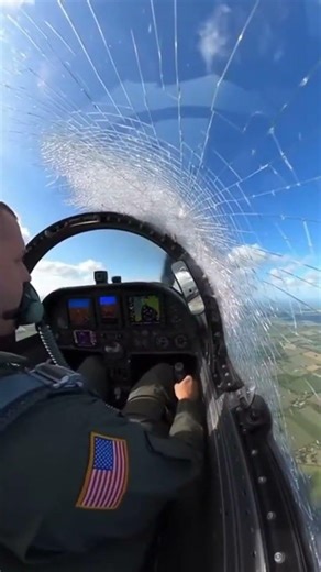 Direct Head-On Impact | #aviation #bird #birdingparadise #birdspecies #dcsworld #largebird #military