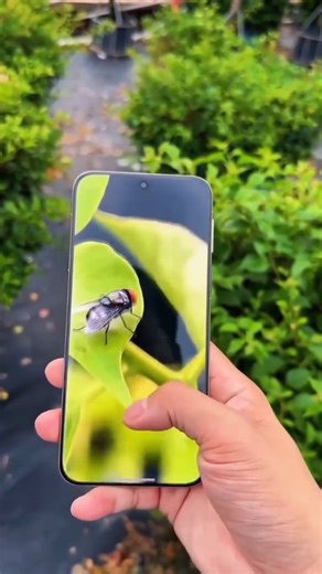 Master Tech | Mobile Best DSLR Camera App #Dslrcameraapp #bescamera #bestapp #techvideo #mobiletricks #mstech #viralreels #viralralvideo #techupdates... | Instagram