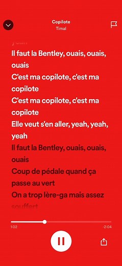 Copilote - timal #fyp #pourtoi #paroles