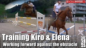 Training, working forward against the Obstacle www.horsephysio.ch here you can find more trainings with schemas | Horsephysio