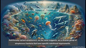 Nutritionally variant streptococci in biology