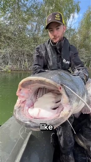 The Night-Active Fish with Super Senses