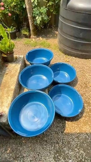 വെറും 90 രൂപക്ക് കിട്ടിയ Basin’s കണ്ടോ 😱 | #keralafishing #shorts #fishtank