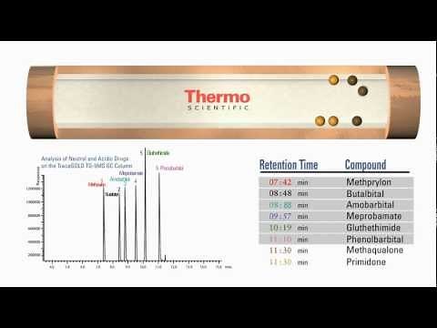 Thermo Scientific - How GC Columns Work