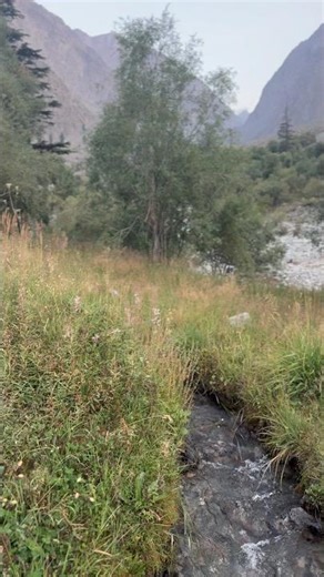 Soothing sounds of Natural spring water #PureWater #SoothingSound #NatureLovers #ScenicViews