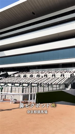 JRA-VAN │ 競馬情報・競馬予想 on Instagram: "セカンドキャリウマ🐴 オフショット公開！ ～鼻ピクボンド～ 走り終えた競走馬の新しいキャリアを紹介する【セカンドキャリウマ】！ 第三弾 ディープボンド編 公開中！ ▼本編はこちら▼ https://youtu.be/j0zw87iFiWs"