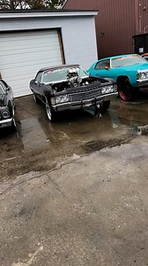 48K views · 800 reactions | Double Donk Giveaway is almost Over . Head over to Inandoutcustoms.com to get your tickets now. | Donkmaster | Facebook