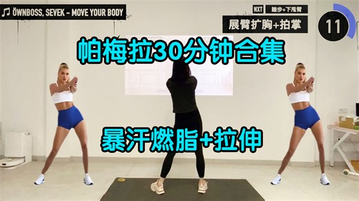 【投屏版】帕梅拉30分钟合集！暴汗燃脂+拉伸！_哔哩哔哩_bilibili