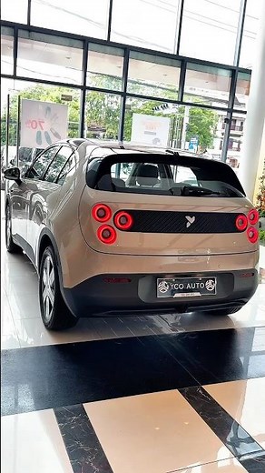 Nio FireFly 2025 Review