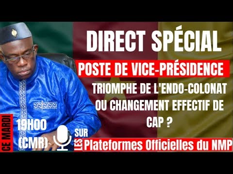 Poste de Vice-Présidence au Cameroun : triomphe de l’endo-colonat ou changement effectif de CAP