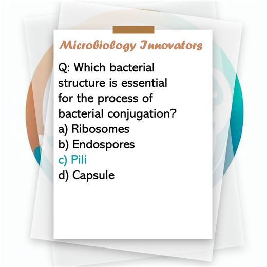 Microbiology Research Group | Q: Which bacterial structure is essential for the process of bacterial conjugation | Facebook