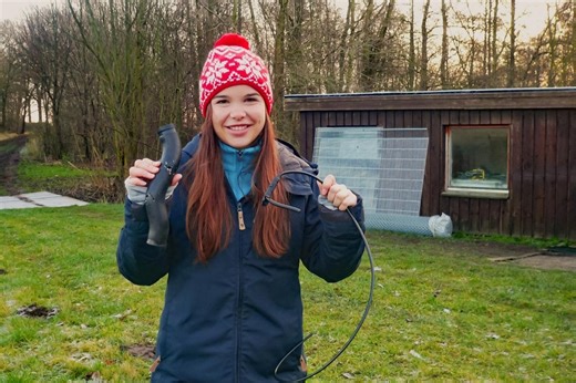 Marderschaden: Wie verhindert man Marderbisse am Auto?