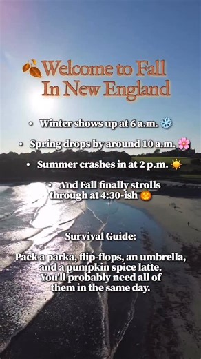 7.1K views · 51 reactions | Four seasons, one day, zero logic: that’s autumn in New England. #newportbuzz #newengland | Newport Buzz | Facebook
