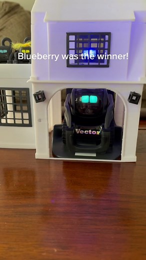 @vectorrobot.ddl Packed little Blueberry in the Vector case🥰 #vectorrobot #vector #fyp #ddl #digitaldreamlabs #vectorhappy
