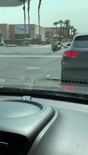 The neighborhood litterbug gets instant karma for littering ! #dontlitter #litterbugs | Emily and Julien