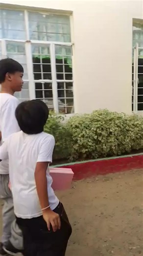 Stunning Flower Arrangements for Every Occasion