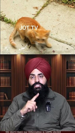 Real Story Behind Tom & Jerry Cartoon Secrets Revealed #TomAndJerry #CartoonHistory #DesiKnowledge