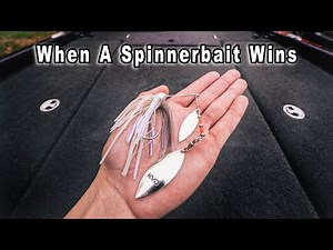 Fishing A Spinnerbait Vs. Chatterbait (When Spinnerbait WINS)