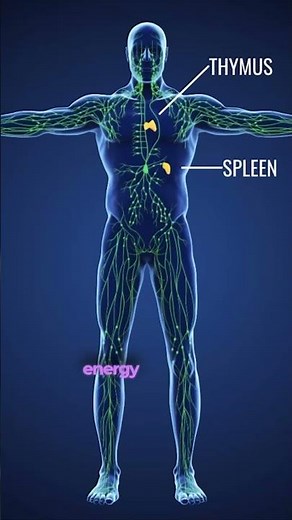 Activating the Thymus Gland