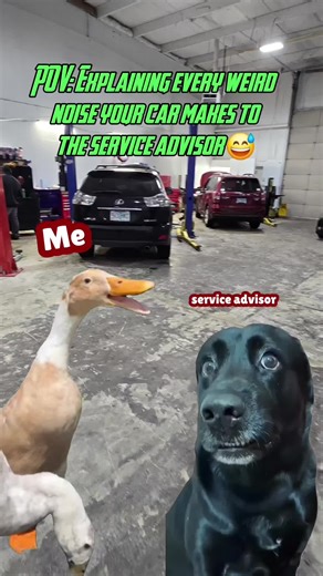 POV: Explaining every weird noise your car makes to the service advisor 😅