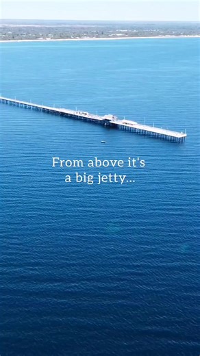How to do it? Below 👇 Dive one of the longest jettys in the world. 2 hours 30 minutes from Perth! 🦀🐠🐡🐙🦑 Atlantis underwater AKA... Busselton Jetty snorkelling: 1) Bring all your own gear. Go on a low wind, sunny day for best visibility 🤞 we've been 3 times, with good vis each time so you should be in luck! 2) You can pre book to scuba dive there if you want, which would be awesome too. 3) You need to either catch the jetty train from shore (pricey)... OR walk the 1.3km out to the end of t