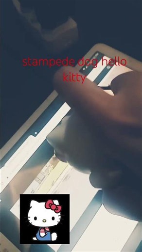 Stampede dog hello kitty