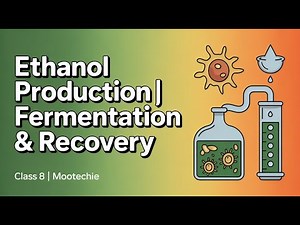 Ethanol Production | Fermentation, Feedstocks & Recovery | Mootechie