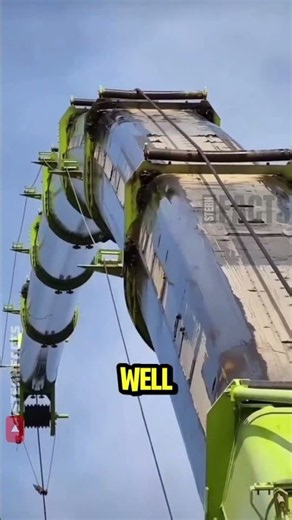 Why Do Cranes Bend Instead of Breaking? 🤯