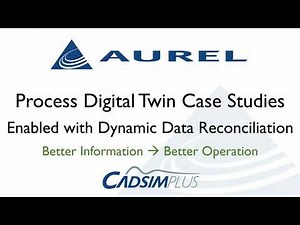 Process Digital Twin Case Studies