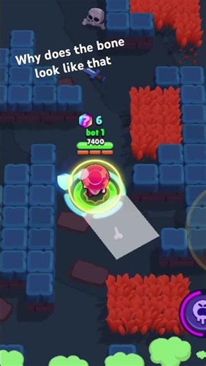 Why does the bone look like that