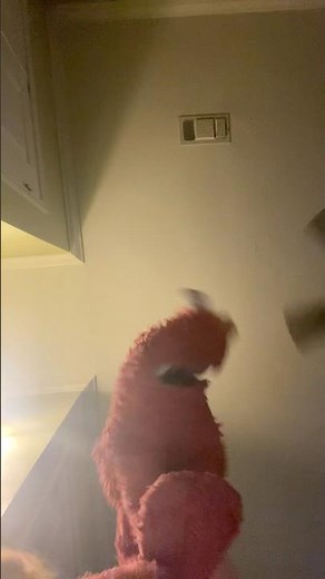 elmo world dress flims