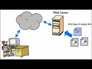 What is Server & Their types ?