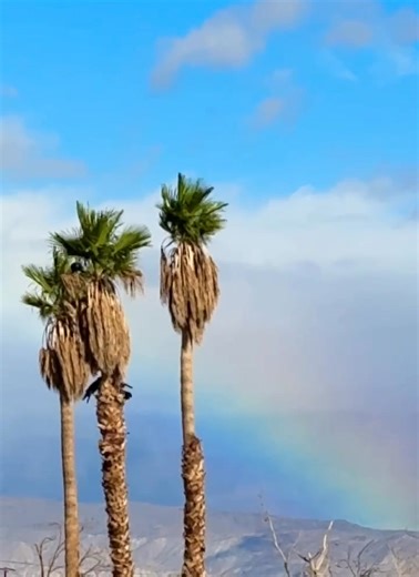 9:30 AM. Borrego Springs, California. 🌈 | Mitchell Sterling