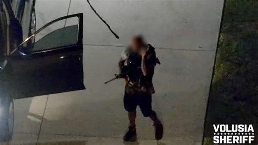 Deputies take down armed, suicidal Deltona man with less-lethal rounds