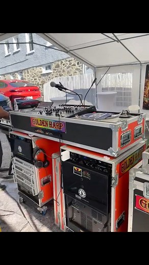 13K views · 195 reactions | Sound System a go hard while the jerk chick a smoke @highlight | Love Unity | Facebook