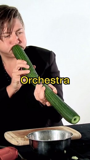 A1234 on Instagram: "This orchestra make music by using vegetables. The Vegetable Orchestra have been going for years, creating instruments out of vegetables from local markets. But don’t worry, none of it goes to waste as the food is turned into a soup after their performances and fed to the audience 🍒🍎🍑 #vegetableorchestra #orchestra #vegetables #music #food"