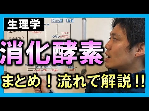 [Study the Basics: Anatomy and Physiology] Digestive Enzymes (Summary) [Physiotherapists and Occu...