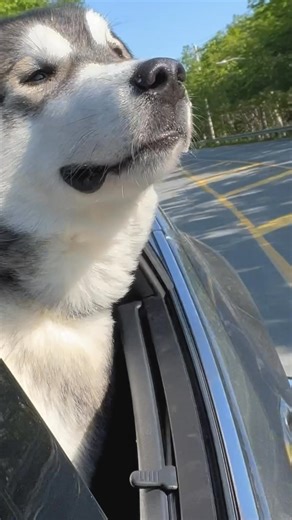 Get on the highway to higher savings. Refinance your auto loan with us. | Navy Federal Credit Union