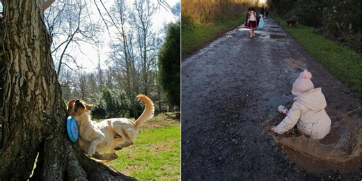 26 Perfectly Timed Photos That Were Captured With Pure Luck