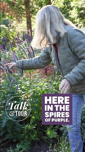 Designing Colorful Plant Combos | Tips from a Pro #garden #gardendesign