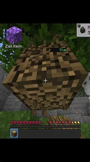 Random Minecraft item Speedrun Part 17