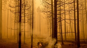 Dixie Fire updates: More than 550 homes destroyed; fire at 490,205 acres