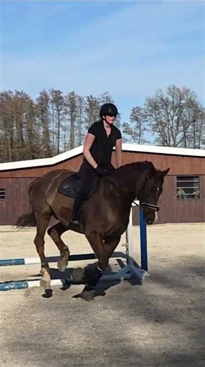 Was machen eigentlich Kinder ohne Pferd? Q&A vom Eicheneck Team