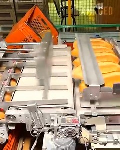 1.2M views · 4.2K reactions | Food Industry Machines That Are At Another Level #USA #America #UnitedStates #AmericanDream #StarsAndStripes #LandOfTheFree | 121313 - Dagami South Central School | Facebook
