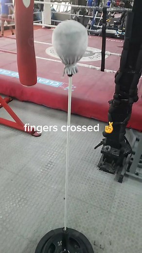 DIY Fierce Reflex Bag for Boxers: Ryan Garcia Style