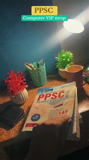 Essential Computer MCQs for PPSC Exams